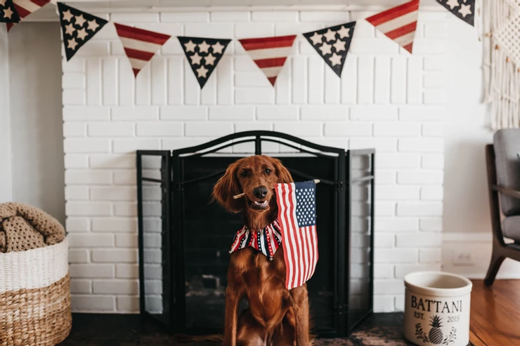 4th of july activities for kids
